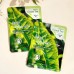 FRESH MASK SHEET GREEN TEA 23G