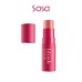 BLUSH STICK
