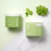 GREEN GRAPE PORE PEELING PAD 70&APOS;S