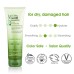 AVOCADO & OLIVE OIL ULTRA-MOIST SHAMPOO 250ML