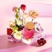 MY WISH EDP