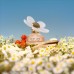 DAISY LOVE EDT