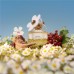 DAISY EDT