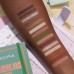 BELIEVE AND CREATE YOUR OWN DESTINY DAYBOOK SERIES PALETTE