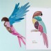 PUPA PARROT